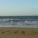 In Near The Marina *