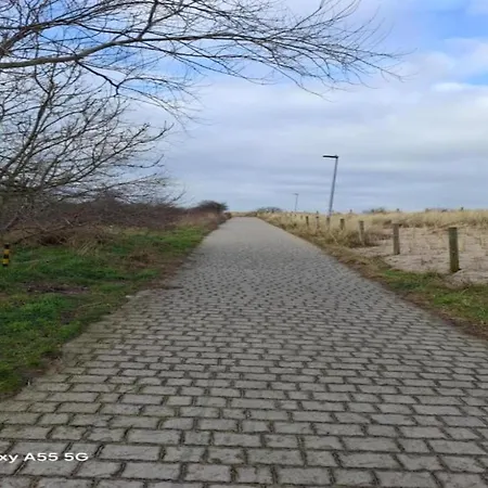 In Near The Marina *