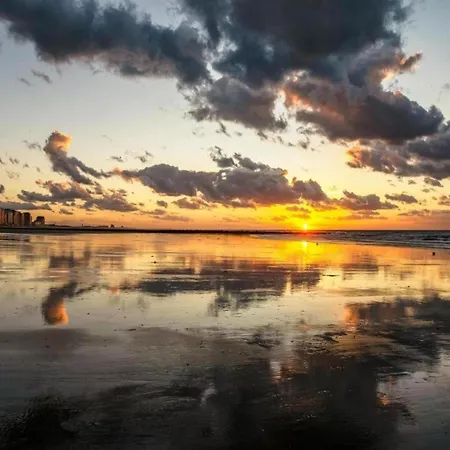 דירה In Near The Marina