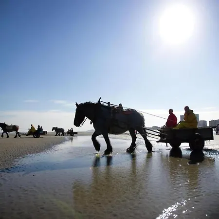 דירה In Near The Marina *