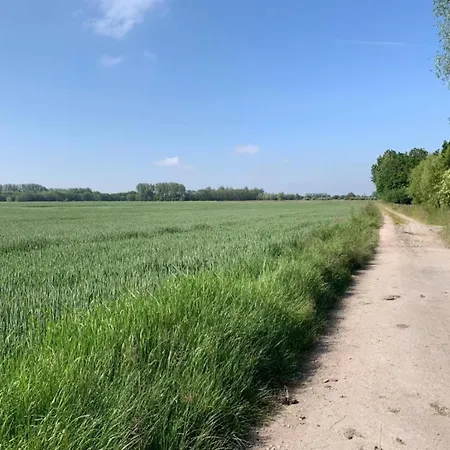 דירה In Near The Marina ניופורט