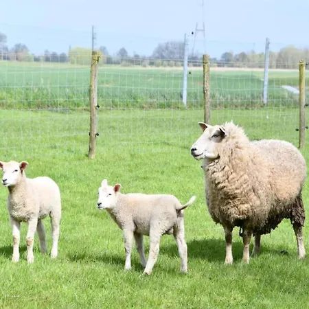 In Near The Marina דירה ניופורט