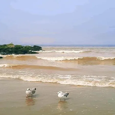 In Near The Marina Nieuwpoort