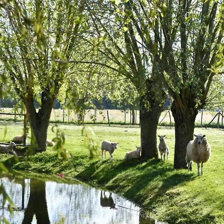 דירה In Near The Marina