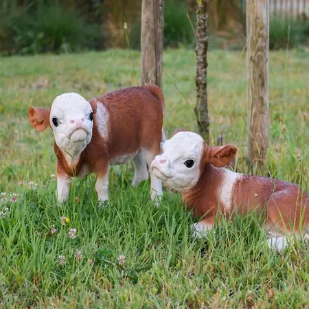 In Near The Marina דירה ניופורט