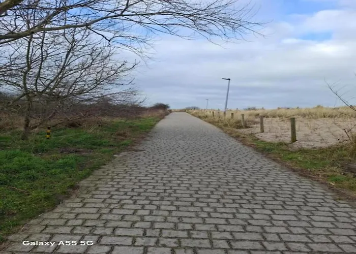 In Near The Marina *