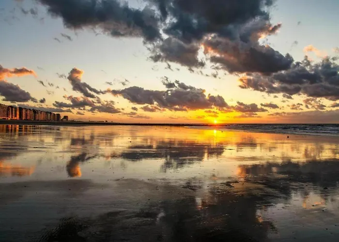 Апартаменты In Near The Marina