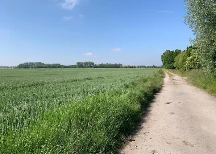 Апартаменты In Near The Marina Ньивпорт