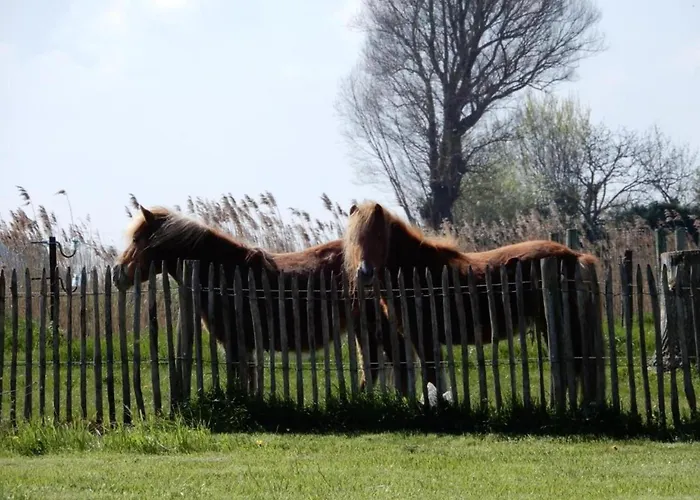 Апартаменты In Near The Marina *