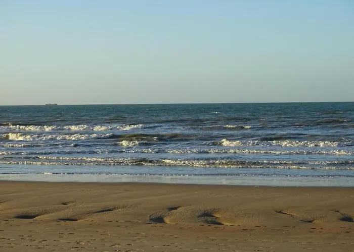 In Near The Marina *